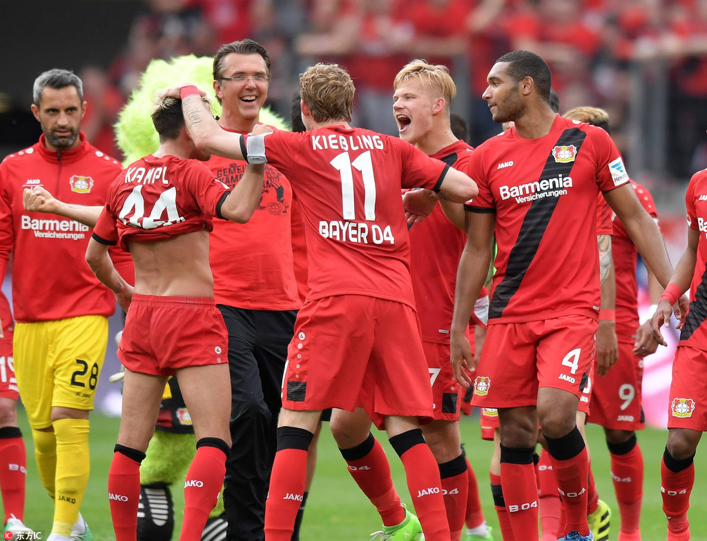 这些都是扬 这些都是扬