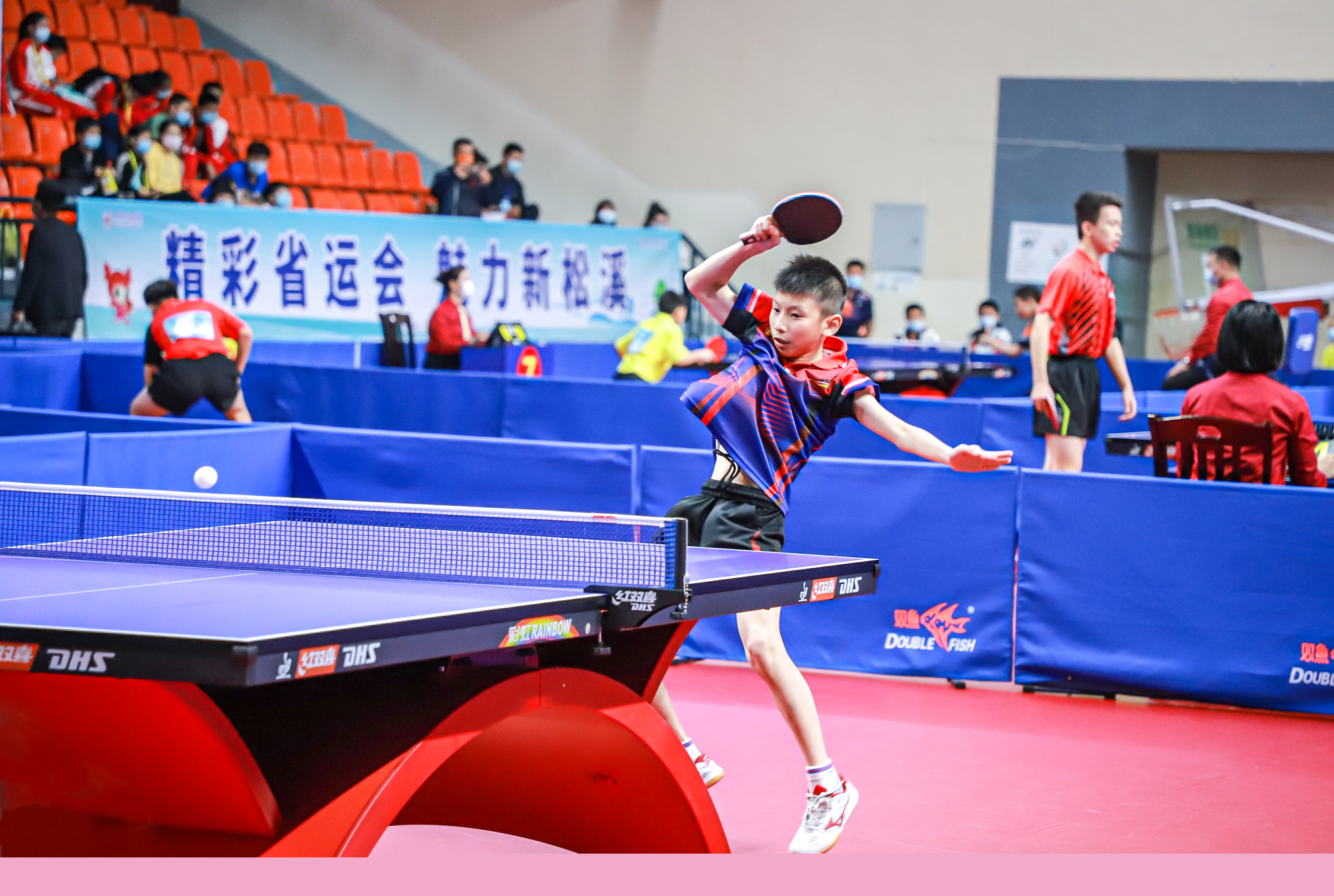 球迷与球队 球迷与球队