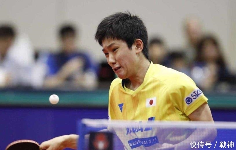 不排除后续 不排除后续